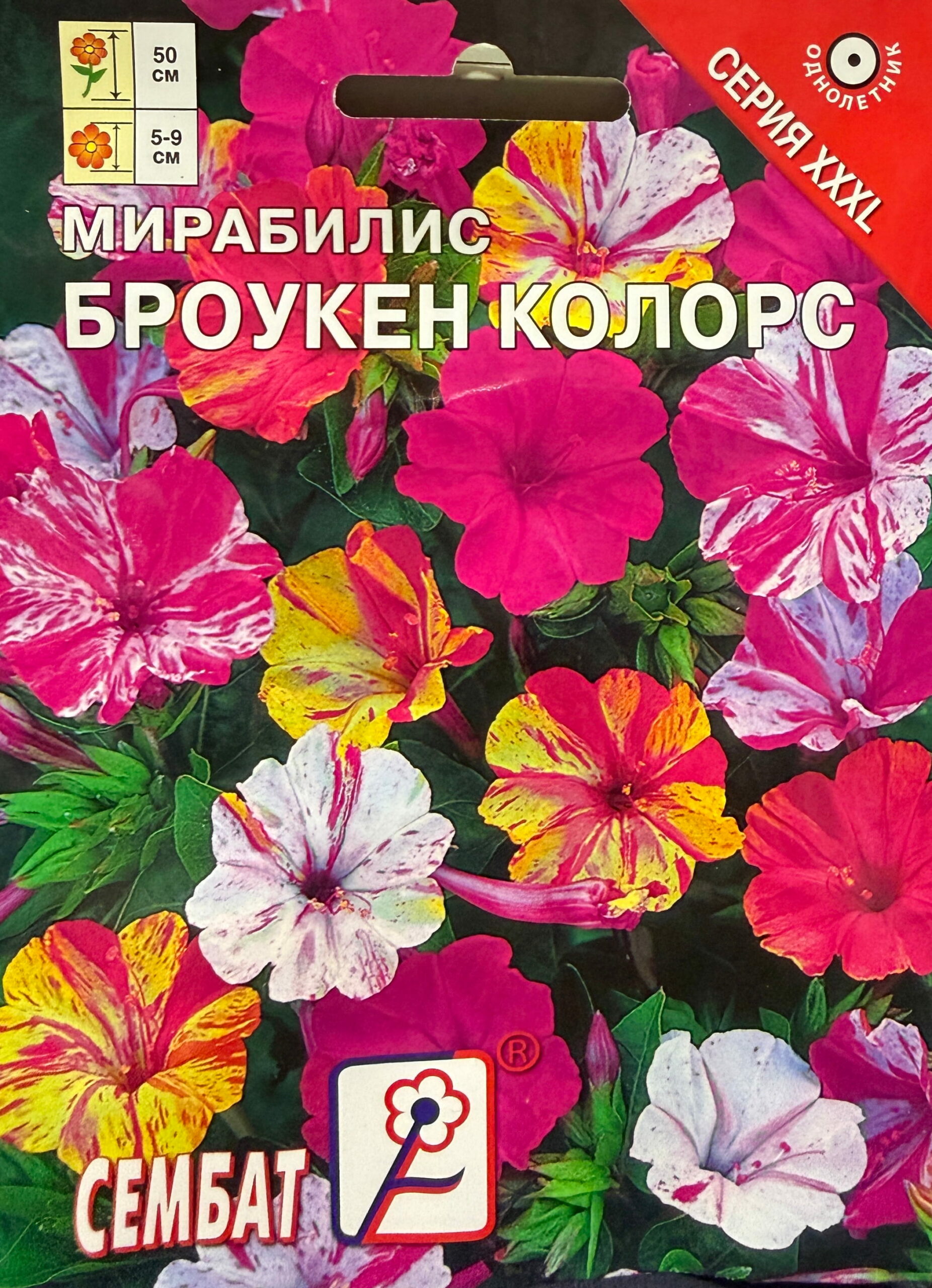 e31b2a6b-e62c-11e7-b005-685d439b21f1_4dedd046-3564-11f1-b586-685d439b21f1